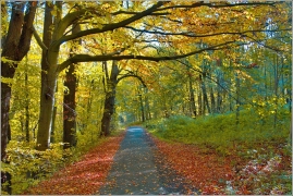 <p>Šluknovsko - Rožany</p>